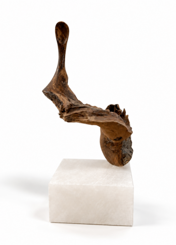 Cuchara escultura